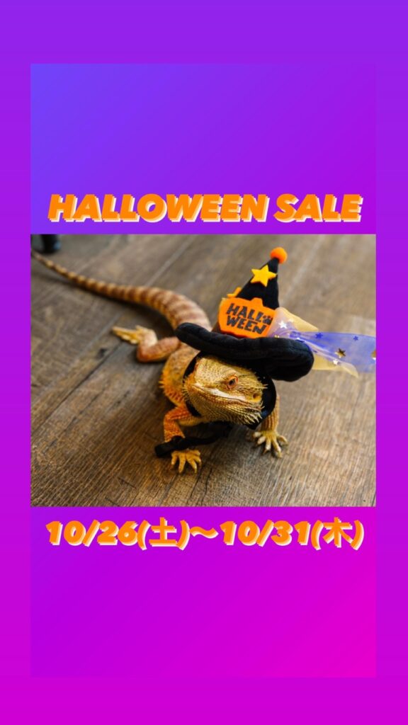 🎃HALLOWEEN SALE🪦　10/26(土)〜10/31(木)