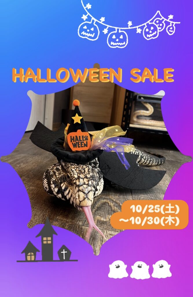 HALLOWEEN SALE🎃　10/25(土)〜10/30(木)