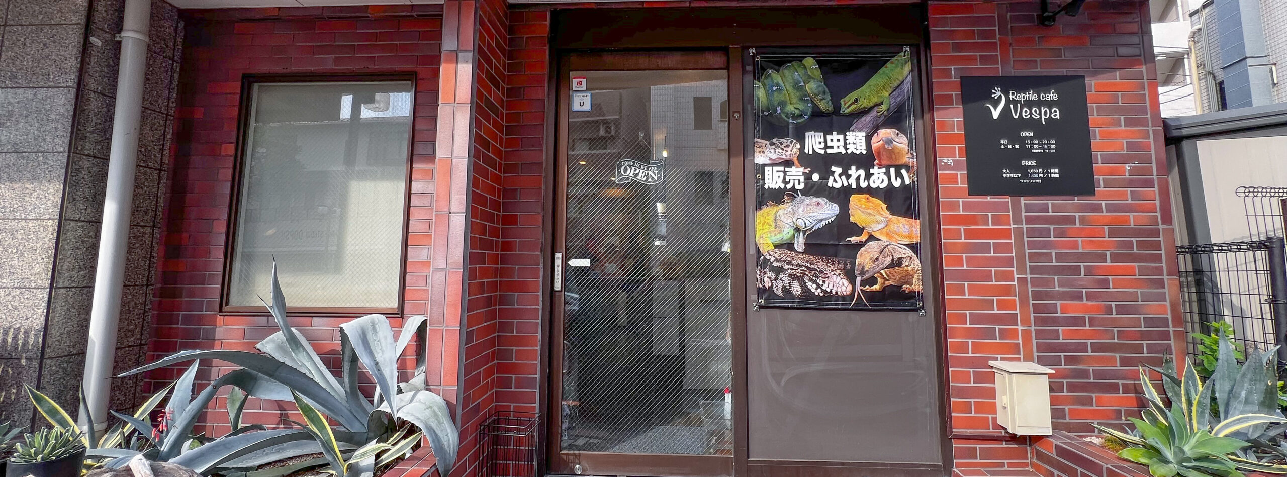 爬虫類カフェ ヴェスパ