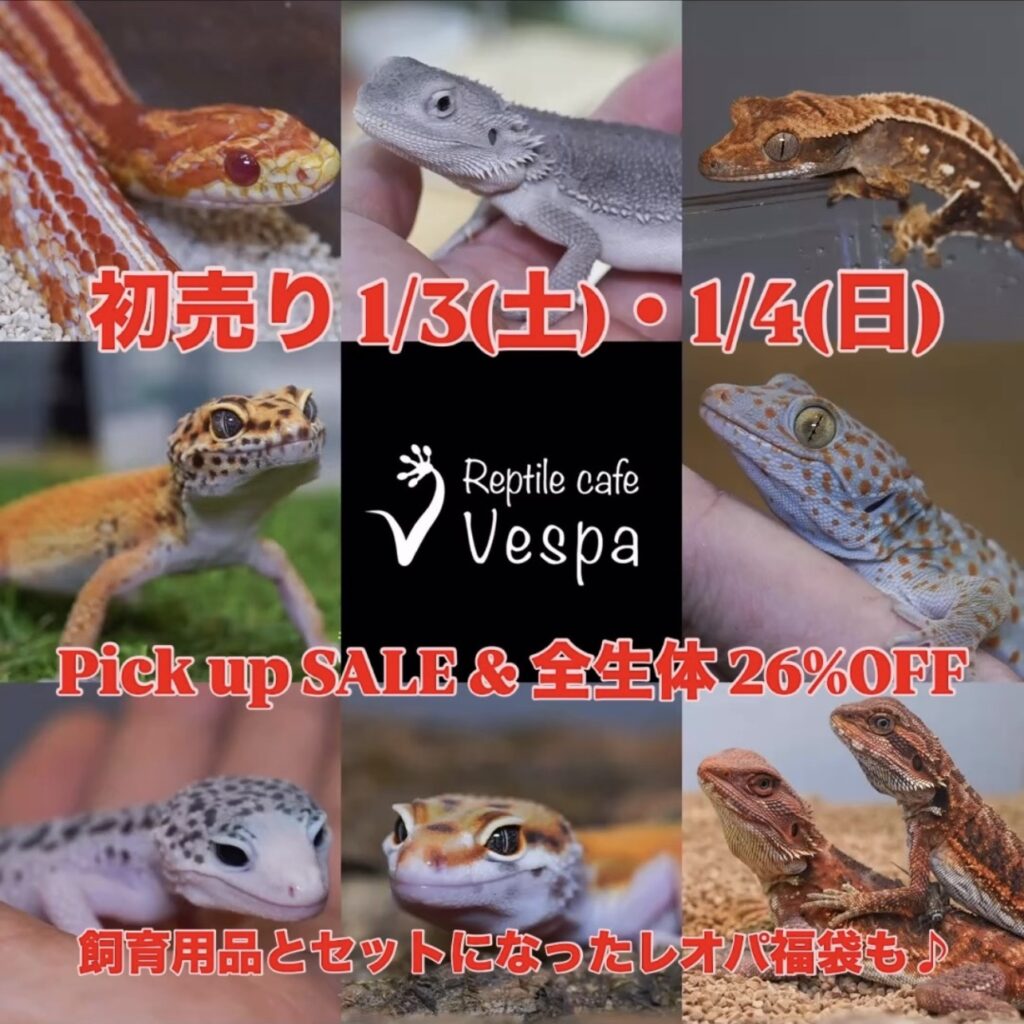 初売り情報🌅 　《1/3(土)・1/4(日)》