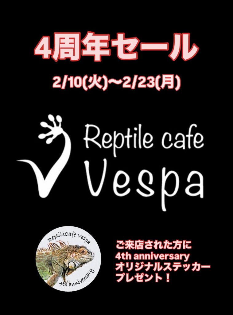 ４周年記念セール開催中🎉